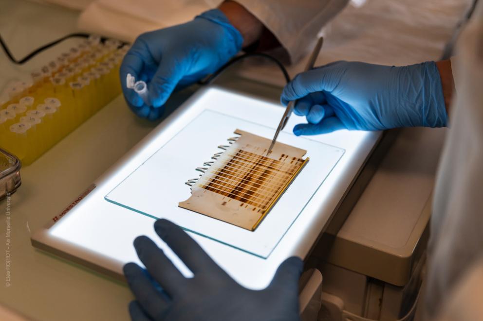 Recherche Institut ICI - Crédit : Elea Ropiot amU